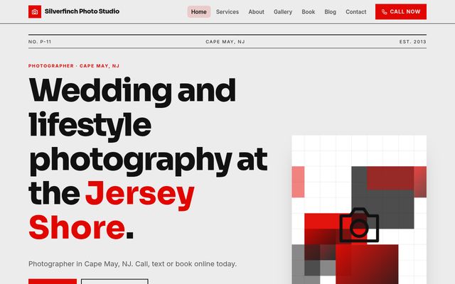Screenshot of demo design P-11, Silver Pine Studio