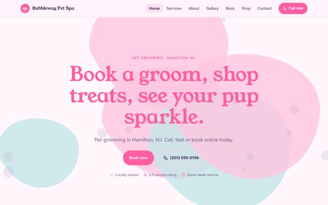 Screenshot of demo design P-16, Sudsy Paws Spa